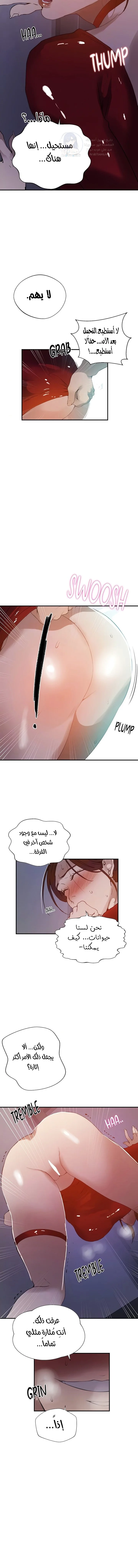 فصل سري - 286 - 69741516ef18a.webp