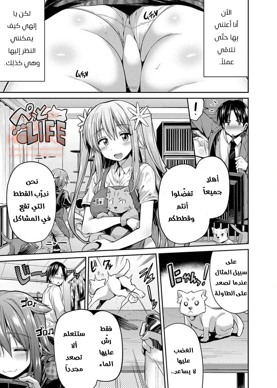 كيفية تدريب أختك الأكبر سنّاً - 1 - 64fa93fd14c0f.webp