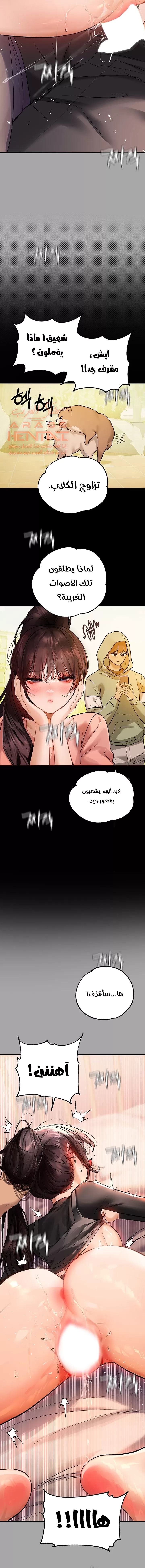 مالكة الارض اختي الكبيرة - 62 - 652be6735574e.webp