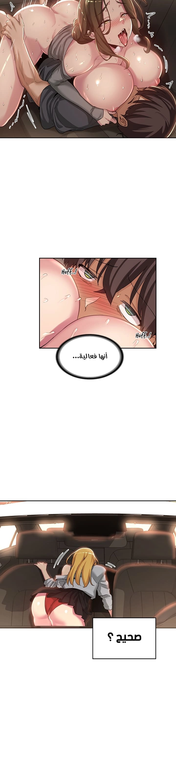 مجموعة الدراسات الجنسية - 47 - 6531ee4ed8c08.webp
