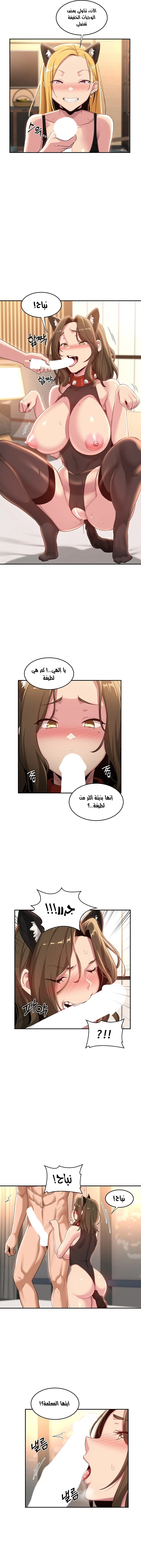 مجموعة الدراسات الجنسية - 66 - 6531eec484248.webp