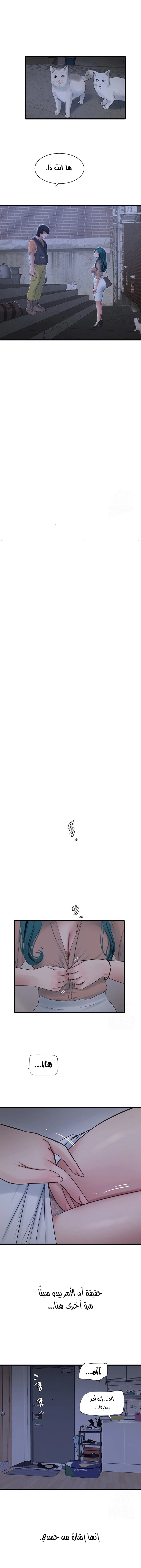 مذكرات الفتحة - 59 - 675a933639646.webp