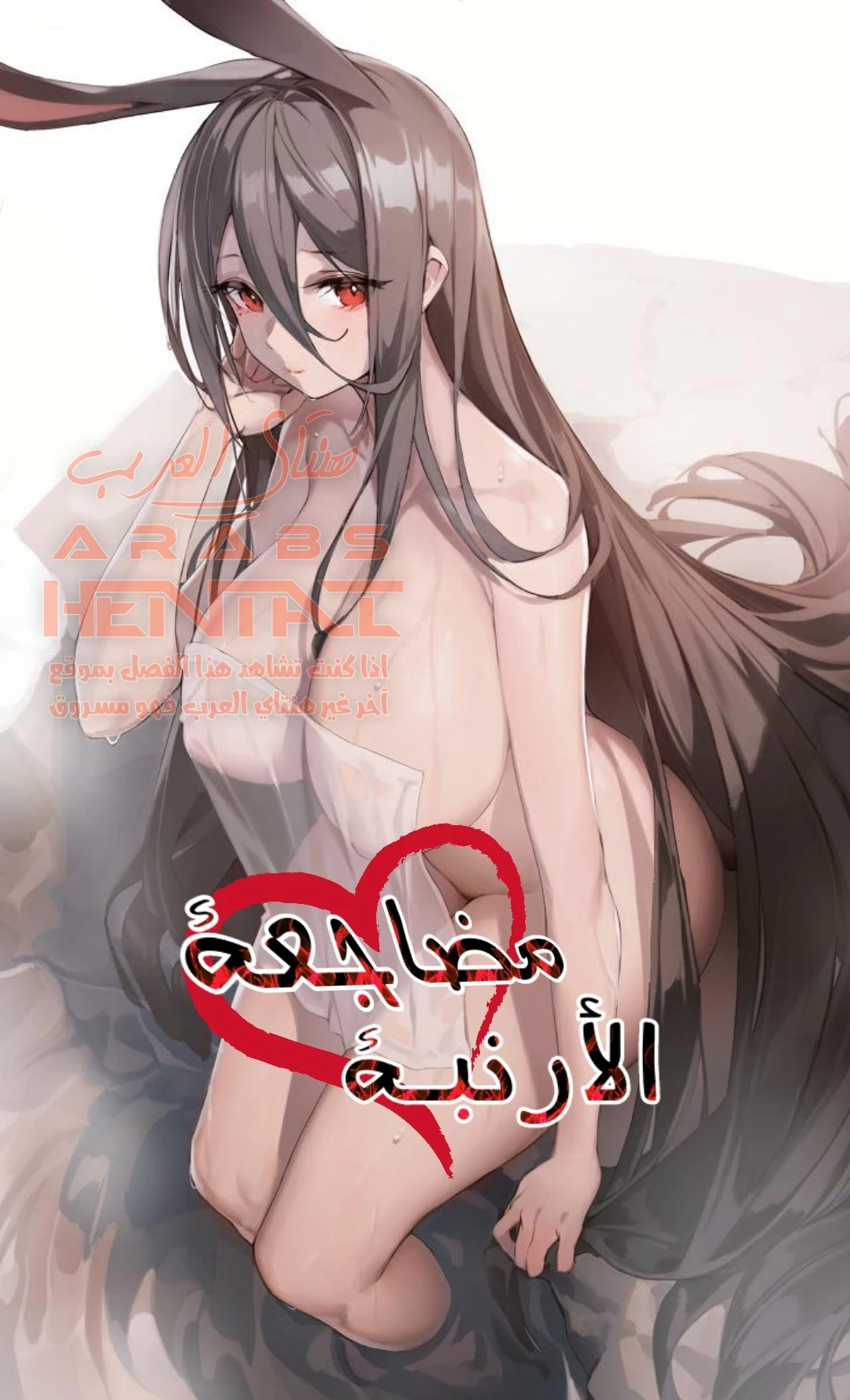 مضاجعة الأرنبة - 1 - 64f9fce98fc6c.webp