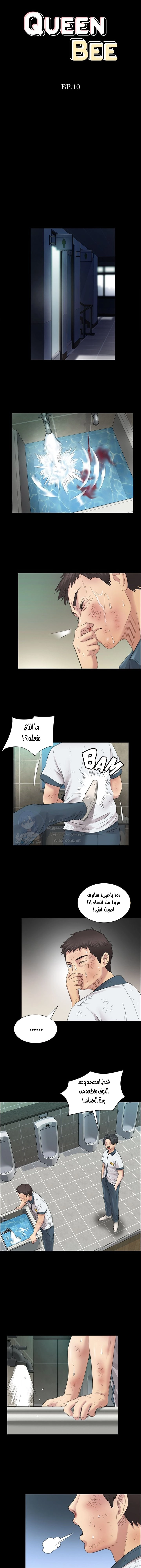 ملكة النحل - 10 - 652fe8aed8aab.webp
