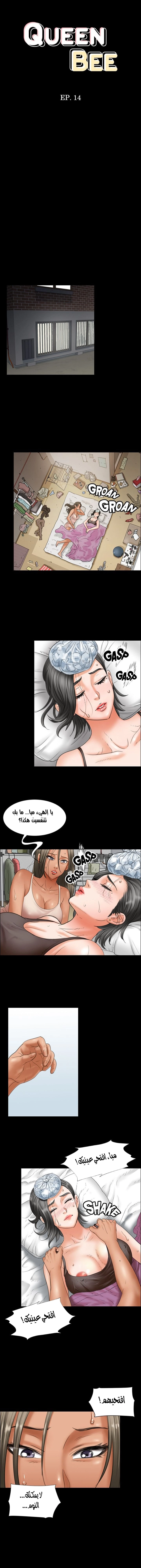 ملكة النحل - 14 - 652fe8d884eae.webp