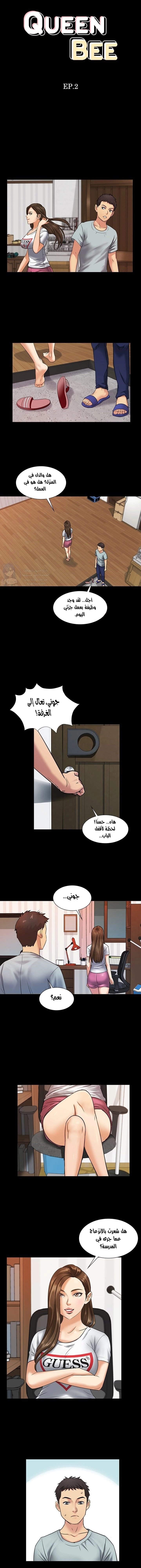 ملكة النحل - 2 - 652fe8670cf46.webp