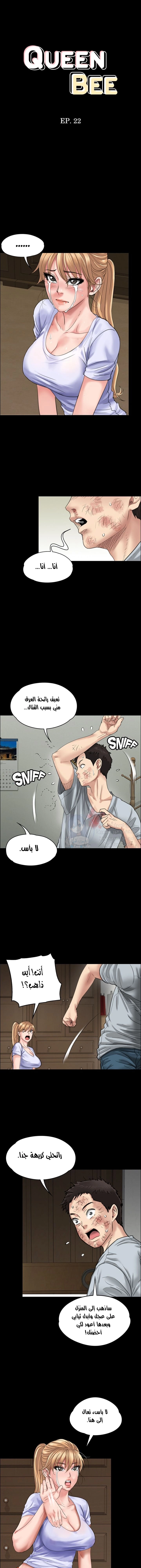ملكة النحل - 22 - 652fe926b1a2e.webp