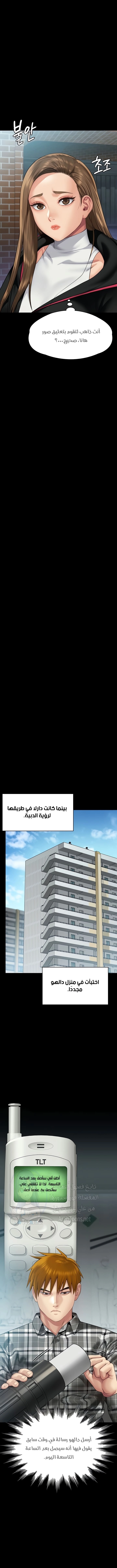 ملكة النحل - 300 - 6593813502cab.webp