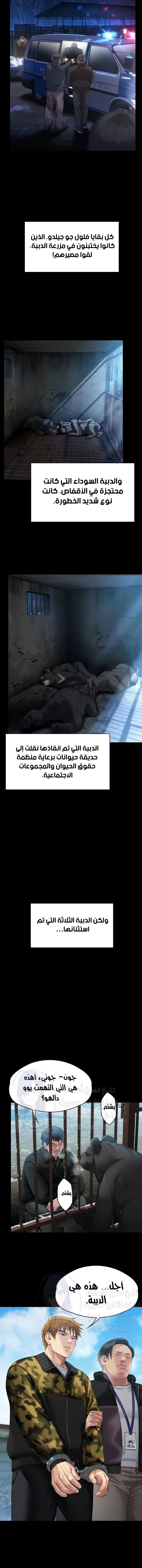 ملكة النحل - 323 - 6680070a77537.webp