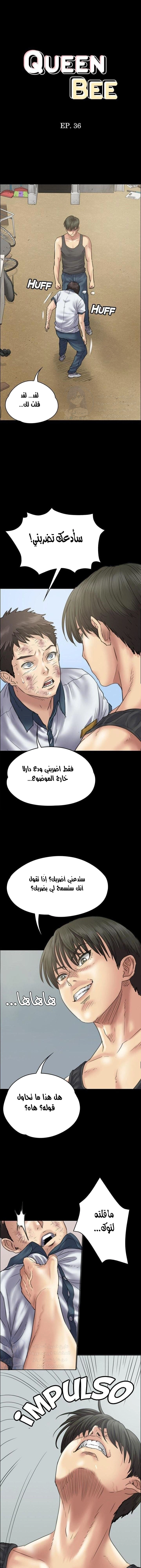 ملكة النحل - 36 - 652fe9ab54e00.webp
