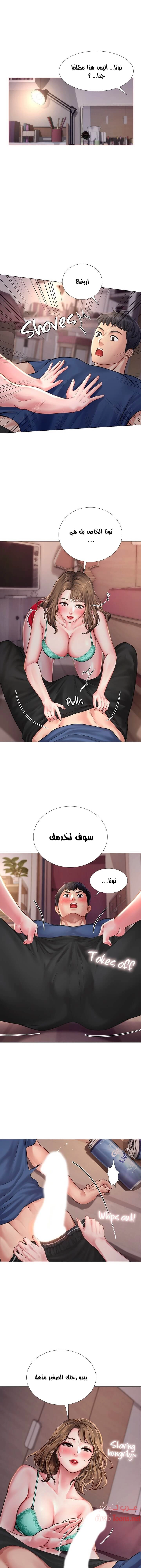 هل يجب أن أدرس في نوريانجين؟ - 12 - 65308200d48d4.webp