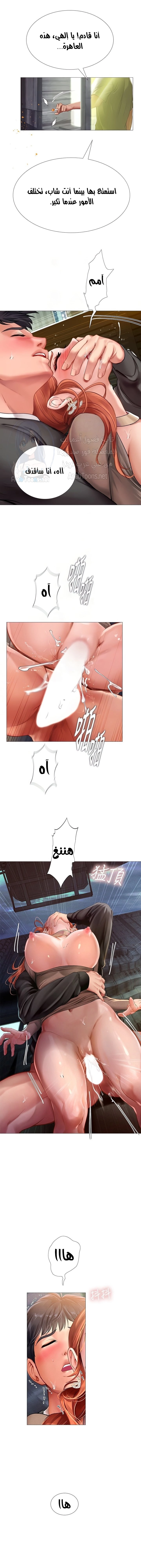 هل يجب أن أدرس في نوريانجين؟ - 90 - 6579be9f91ead.webp