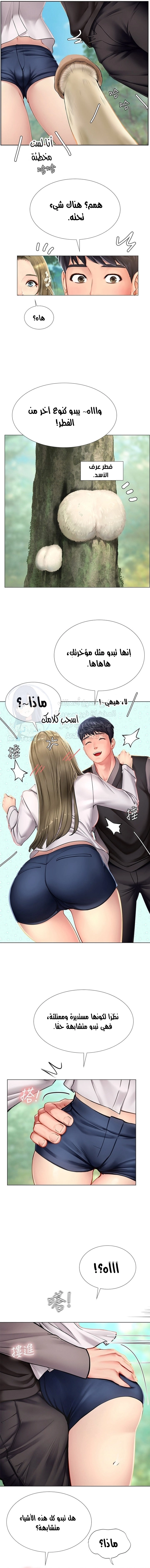 هل يجب أن أدرس في نوريانجين؟ - 93 - 6583bcba684e3.webp