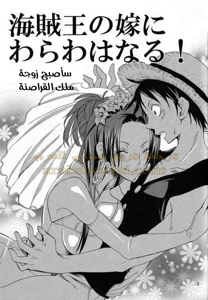 وضع لوفي في خطر - 1 - 64f9f25f641be.webp