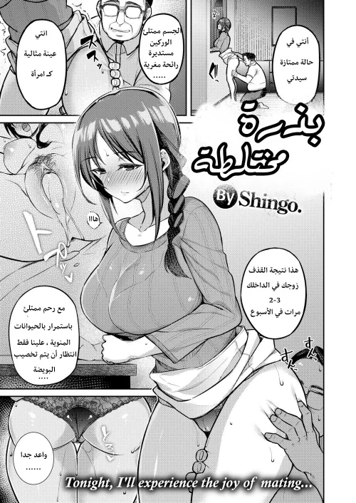 بذرة مختلطة