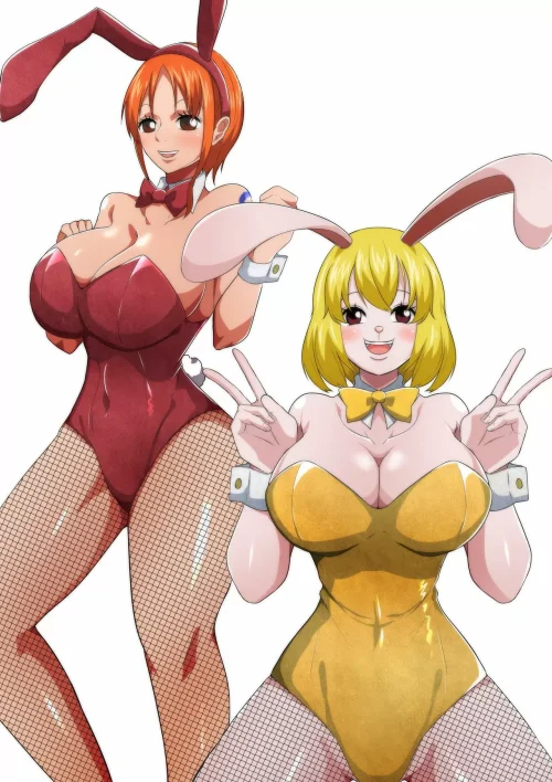 One piece bunny service