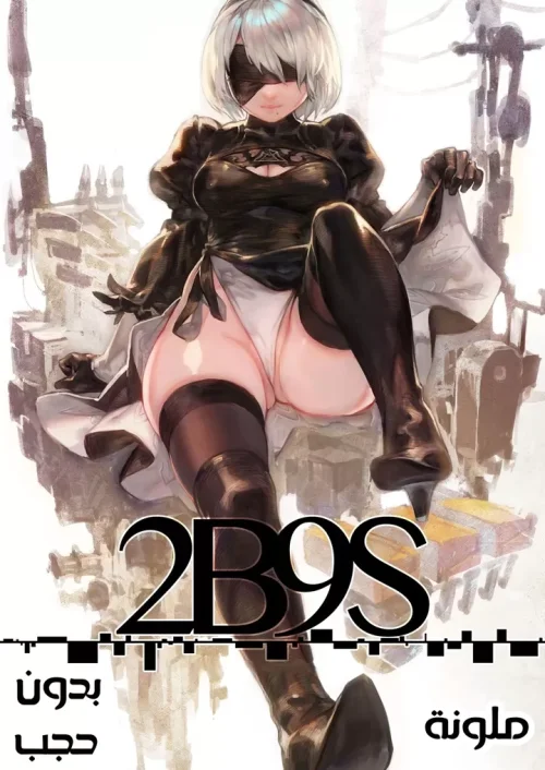 2B9S
