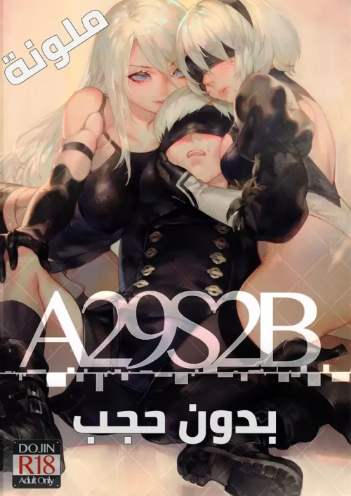 A29S2B