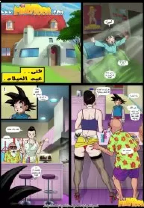 عيد ميلاد الصبي (دراغون بول زد)