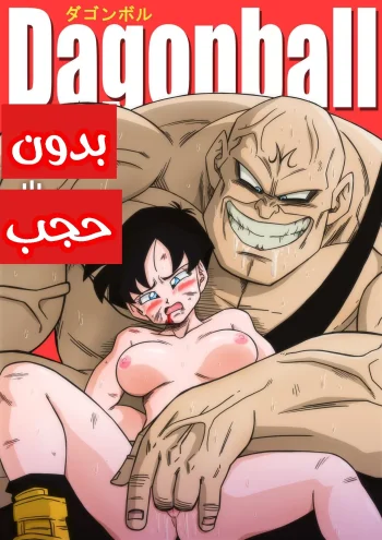 فيديل ضد سبوبوفيتش